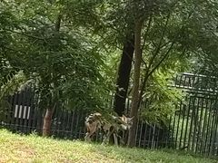 -秦皇岛野生动物园