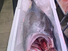 -大起水产回转寿司(大丸心斋桥店)