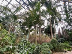 -南山植物园