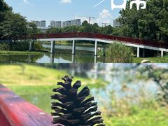 -美兰湖景区