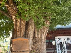 -医王山·飞騨国分寺