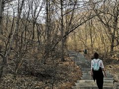 -吉林市朱雀山国家森林公园
