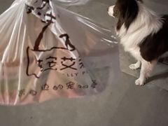 -狗不理喵子(百富路店)