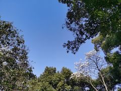 -城隍阁