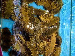 -隐厨·海鲜餐厅(恒通路店)