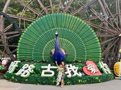 -呀路古热带植物园