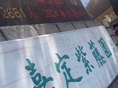 -嘉定紫藤园