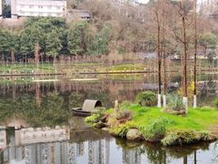 -重庆彩云湖湿地公园