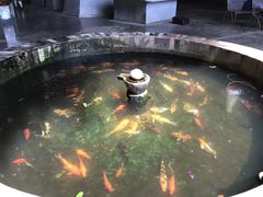-极乐洞