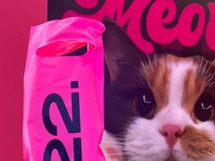 -K22.酸奶草莓(长春上海路万达店)