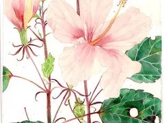 -信马画室 成人零基础到个人创作画室(亚运村店)