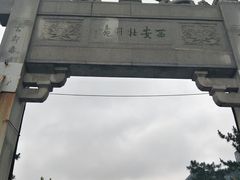 景点-西安牡丹苑