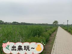 -大兴滨河森林公园