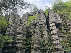 -梭布垭石林景区