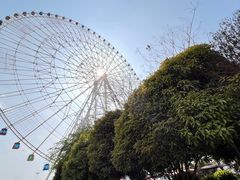 -南昌之星游乐场