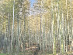 -黄公望隐居地