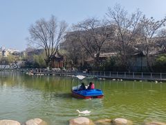 -莲湖公园