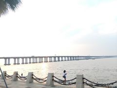 -宝安西湾红树林湿地公园