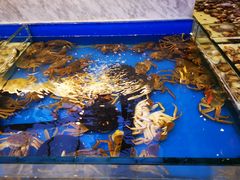 -川骄海鲜自助(河东店)