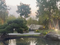 -雅苑中餐厅