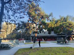 -护国法轮寺