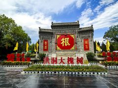 -大槐树寻根祭祖园