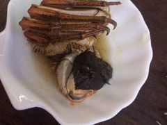 -同得兴 Since·1995 传统苏式面馆(嘉馀坊店)