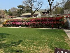 -红螺寺