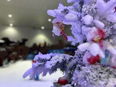 -重庆际华园室内极限运动中心