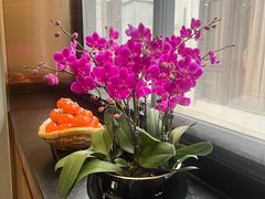 -聚福宝合苑食府(南头镇店)