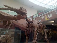 -陕西自然博物馆