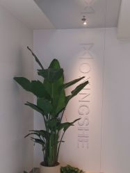 -魔型社烫染店