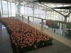 -佐度王子扒房(西城红场店)