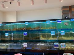 水产区-南海渔家•海鲜•正宗海南菜(海棠湾店)