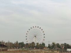 -金卉庄园