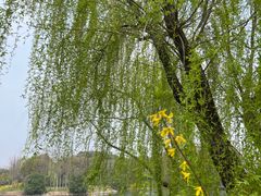 -尚贤河湿地
