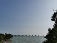 -宝安西湾红树林湿地公园