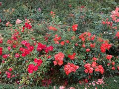 -人民公园(罗湖区)