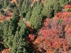 -香山公园