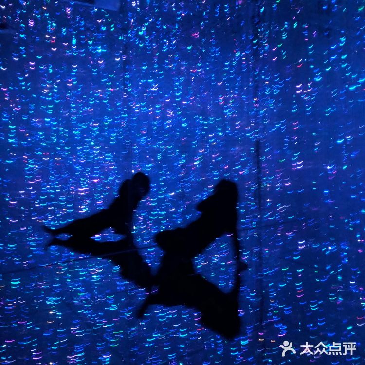 逛展|teamLab无界x 胡沈员现代舞专场
