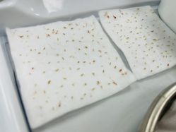 -元熙兰积皮肤管理