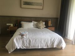 -帐篷客·溪龙茶谷度假酒店