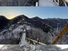 -大岭沟猕猴桃谷风景区