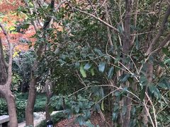 -上海市龙华烈士陵园