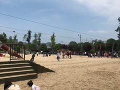 -枫香湖儿童公园