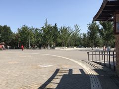 -大兴滨河森林公园