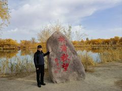 -金塔沙漠胡杨林景区