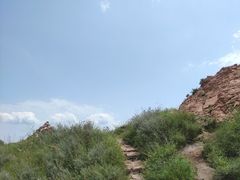 -红山国家森林公园