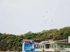 -青岛第二海水浴场