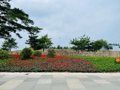 -莫子山公园